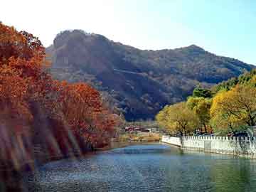 澳门版全年免费大全，日本山田气动隔膜泵